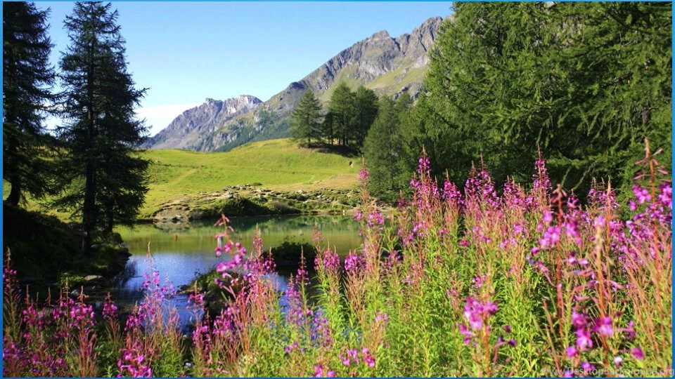Best Nature Backgrounds Android Apps On Google Play