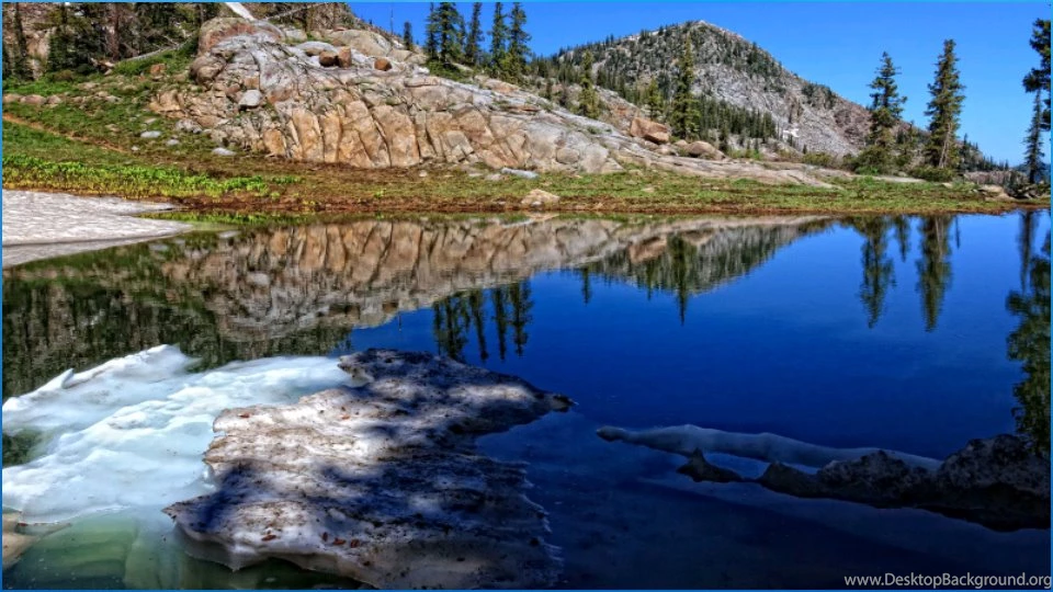 Best Nature Backgrounds Android Apps On Google Play