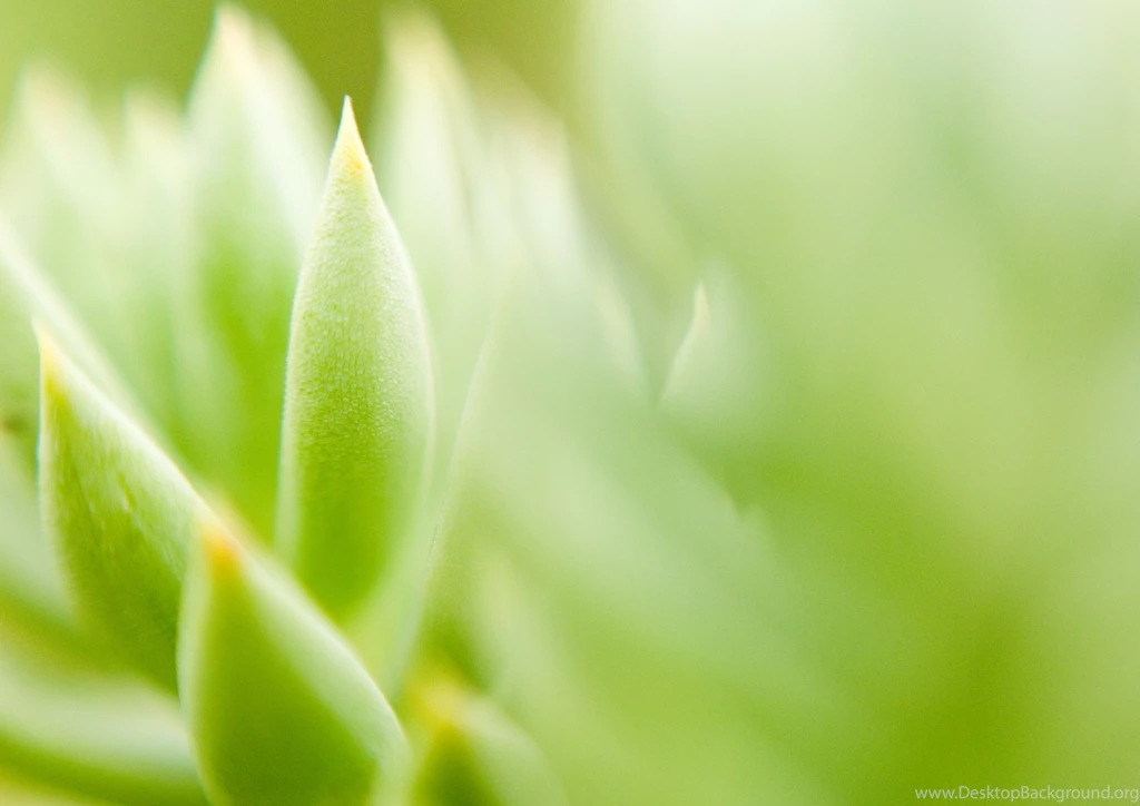 Skincare By Dusty » Products