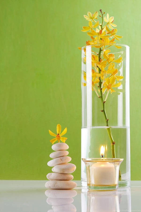 Spa Concepts With Green Backgrounds Photograph By Atiketta Sangasaeng