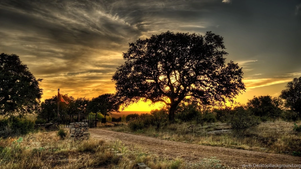 1920x1080 Farm Gate Trees Path Sunset Desktop PC And Mac Wallpapers
