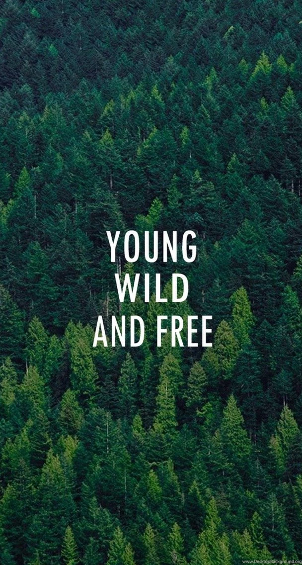 Young Wild And Free Forest Pattern iPhone 6 Plus HD Wallpapers ...