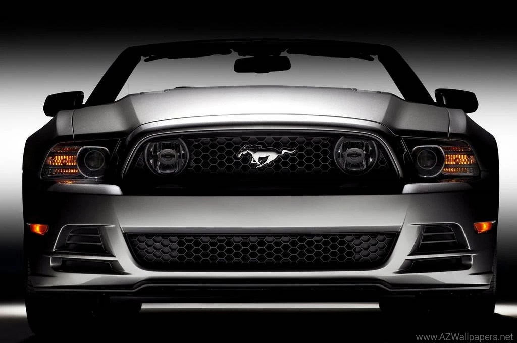 2015 Ford Mustang Gt Sport Car Wallpapers