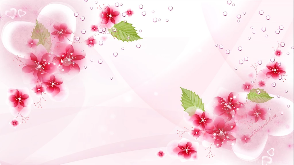 Rose Flower Wallpapers