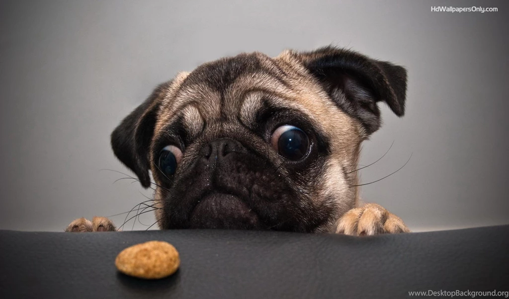 Latest hd wallpapers_for desktop.jpg