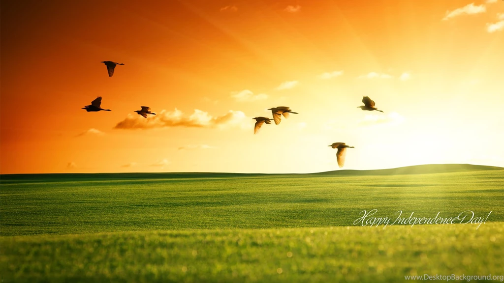 Indian Flags Wallpapers Collection (35+)