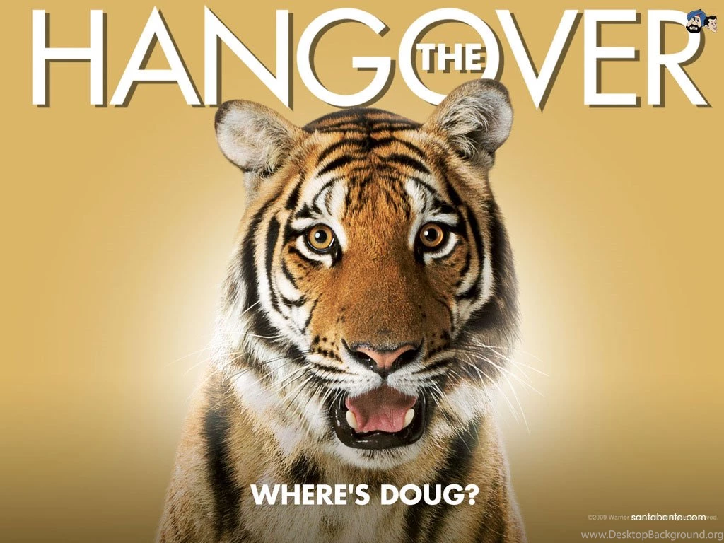The Hangover Movie Wallpapers