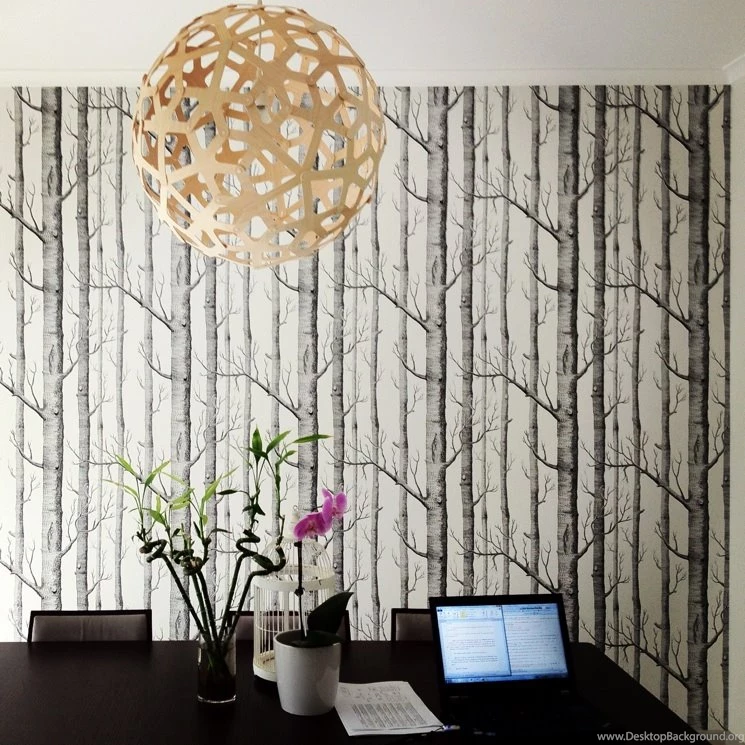 Cole And Son Woods Wallpapers Installation Sydney Desktop Background