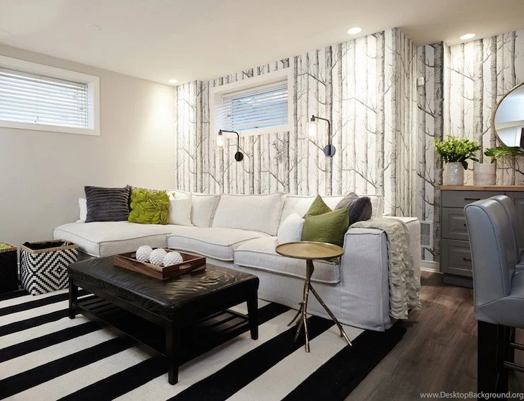 Gray Basement Games Room Design, Decor, Photos, Pictures, Ideas ...