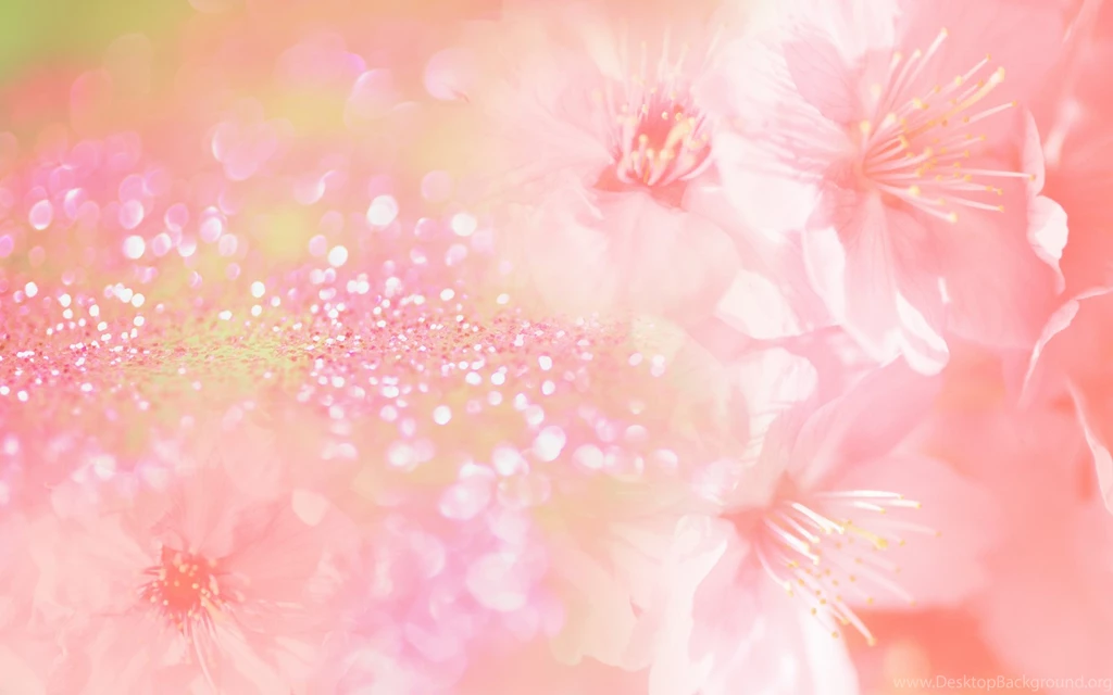 Pink Backgrounds