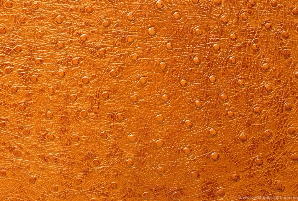 Leather Special Dressing Wallpapers And Images   Wallpapers ...