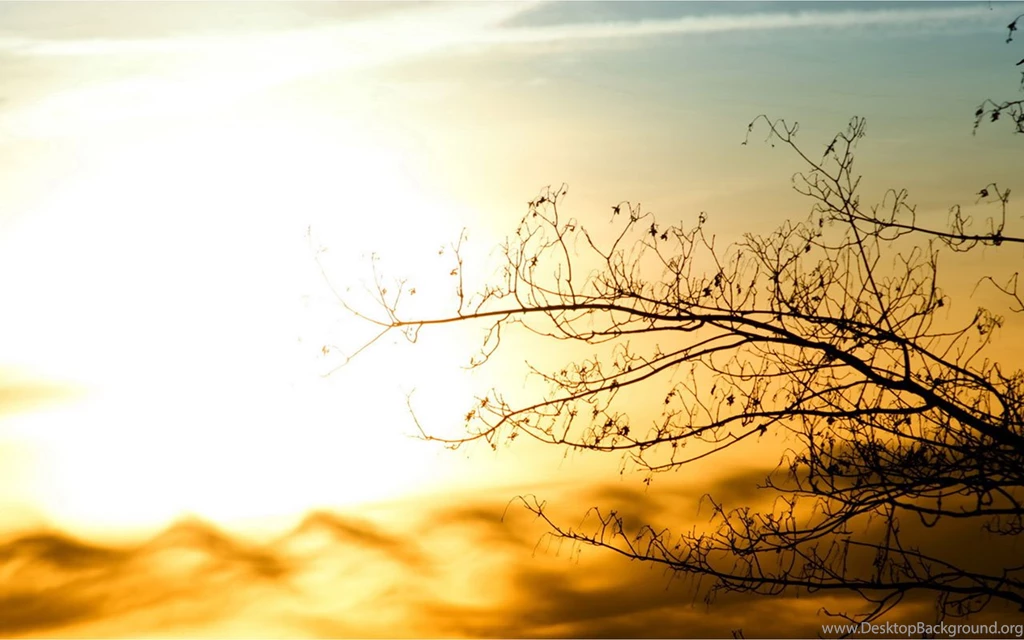 Special Edition Twilight Landscape Wallpapers 8 - Landscape ...