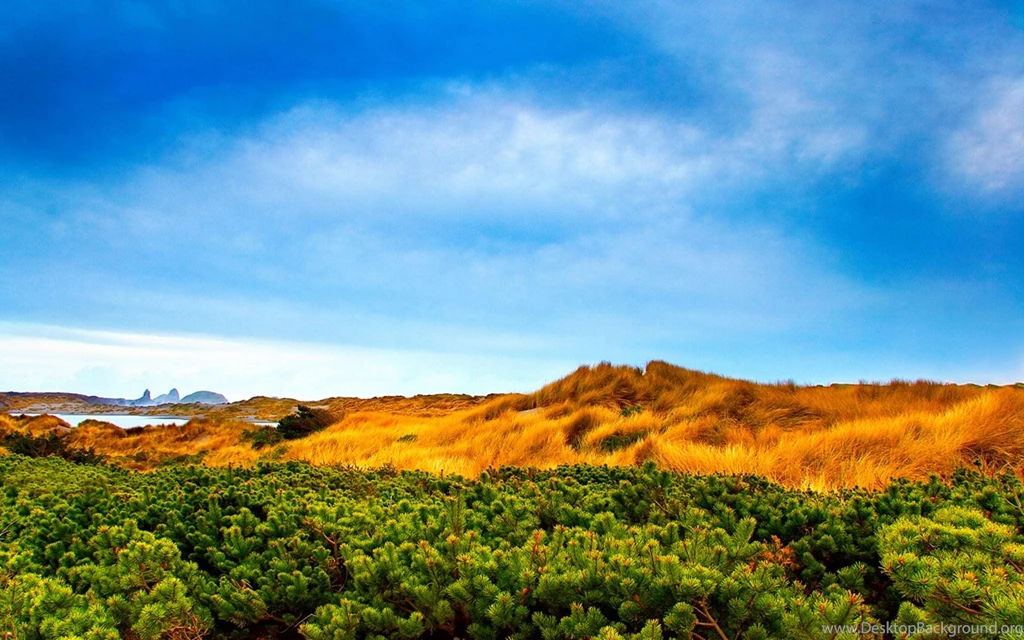 High Definition Nature Photography Wallpapers 1920x1200 Hd ...
