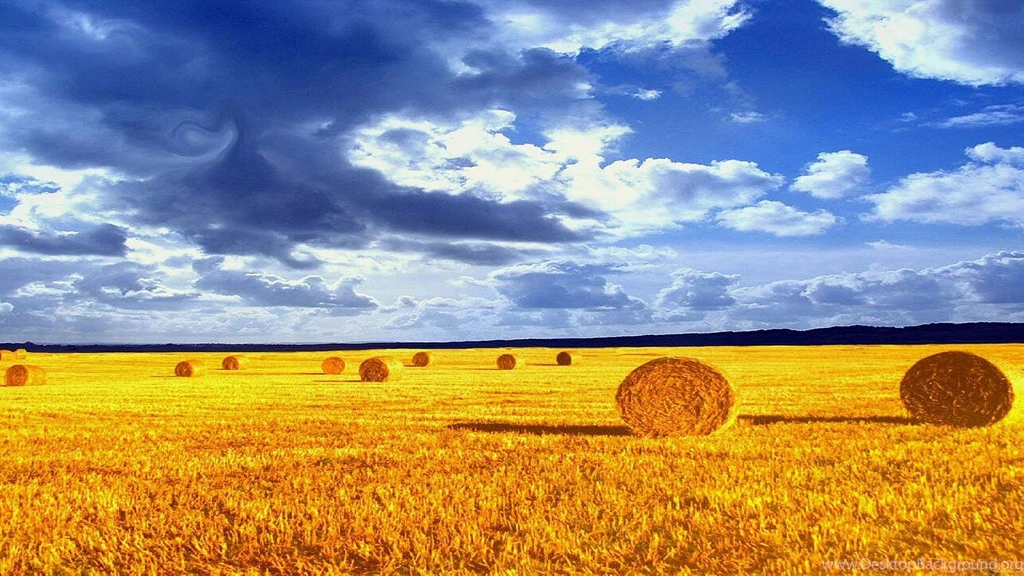 Minimalist, Nature, Background, Wallpaper, Photography (