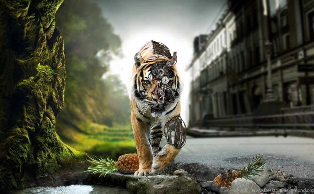 High Quality Wallpapers HD Wallpapers Desktop Wallpapers ...