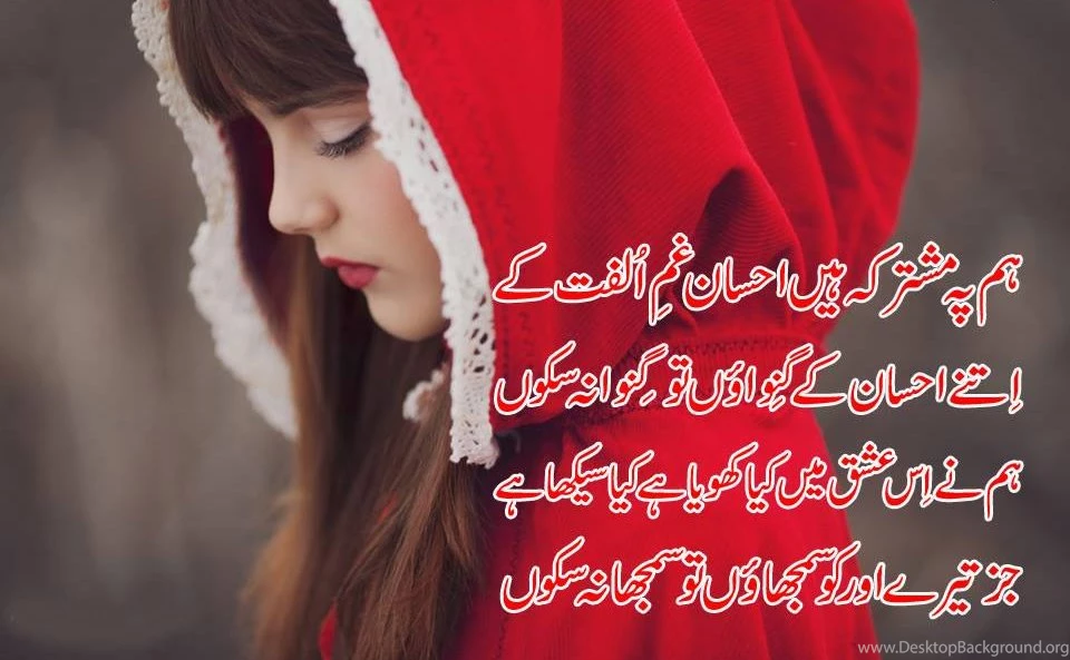 Shero Shayari Love Shayari Love Hindi Girlfriend In Urdu In ...