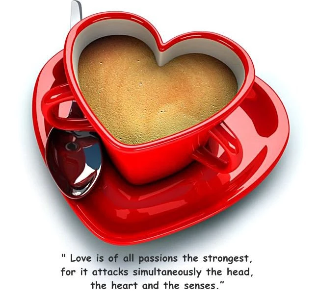 Shayari Dosti Hindi Bewafa In Punjabi In English In Urdu Ke LIyeh ...