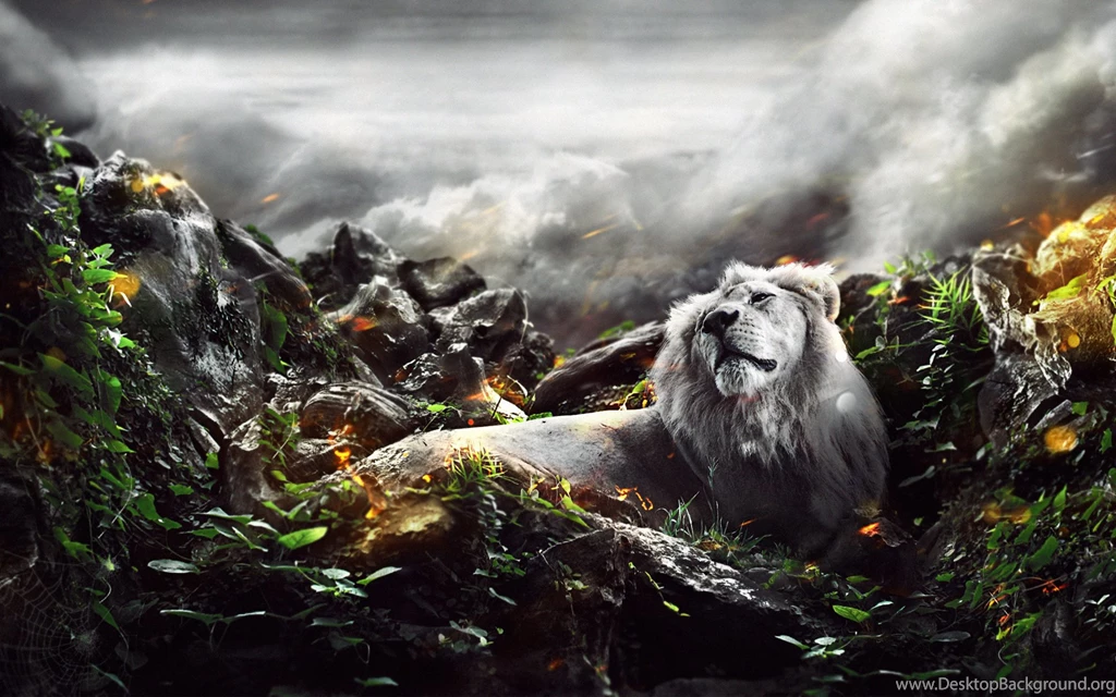 Jungle Lion Wallpapers