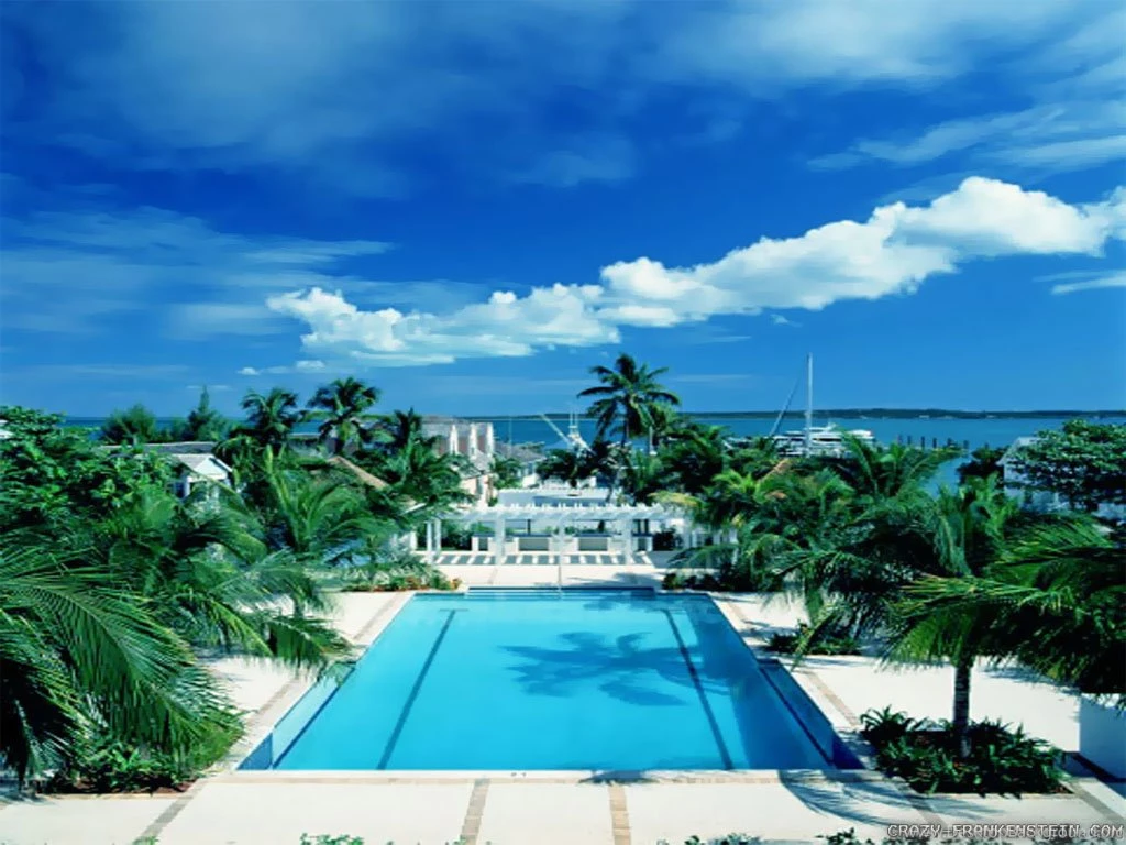 Valentine's Resort Wallpapers   Crazy Frankenstein