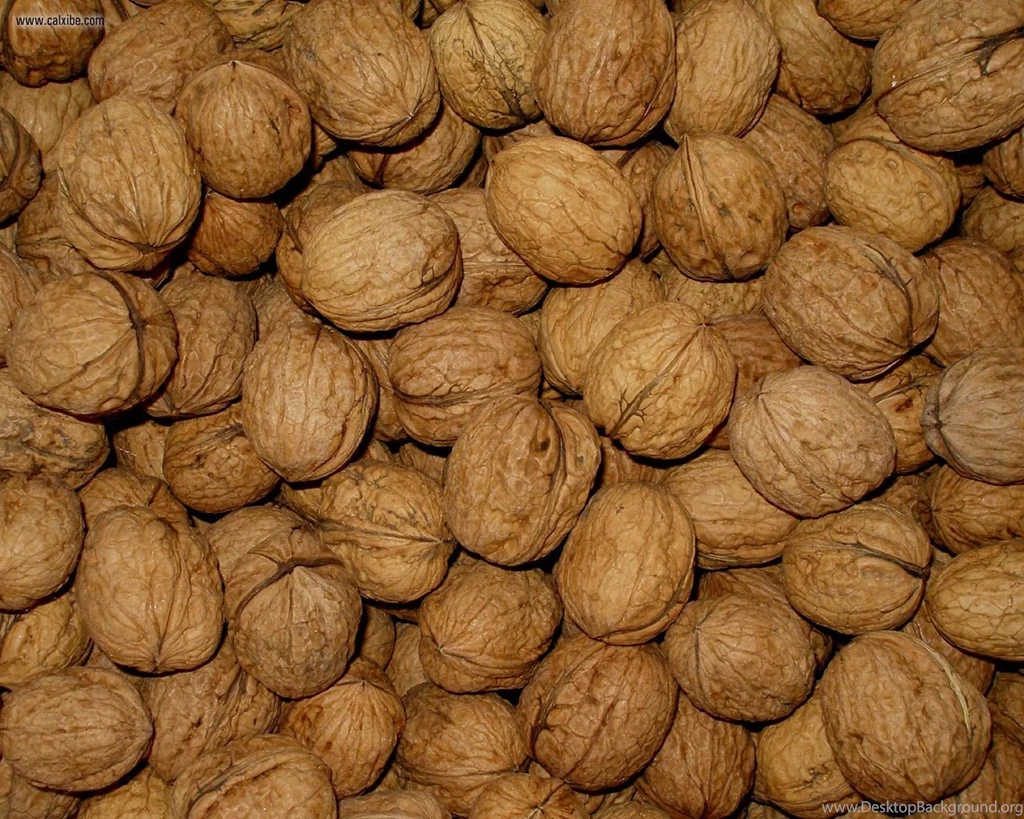 Development: Walnuts, Desktop Wallpapers Nr. 19347