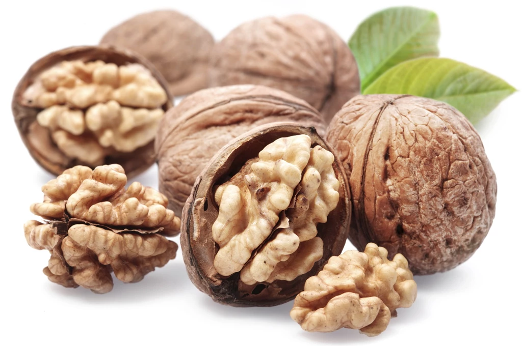 Dry Fruits Walnut Wallpapers