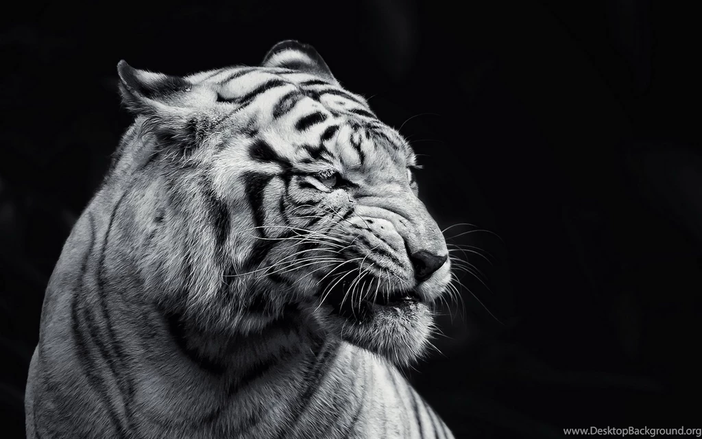 Wallpaperres.com