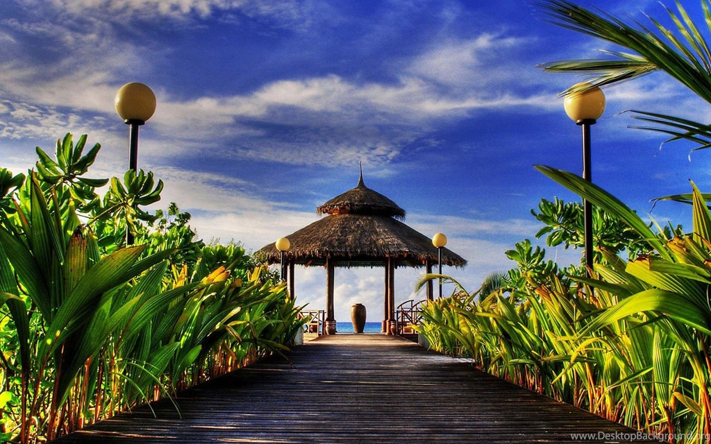 BEACH RESORT WALLPAPER   (