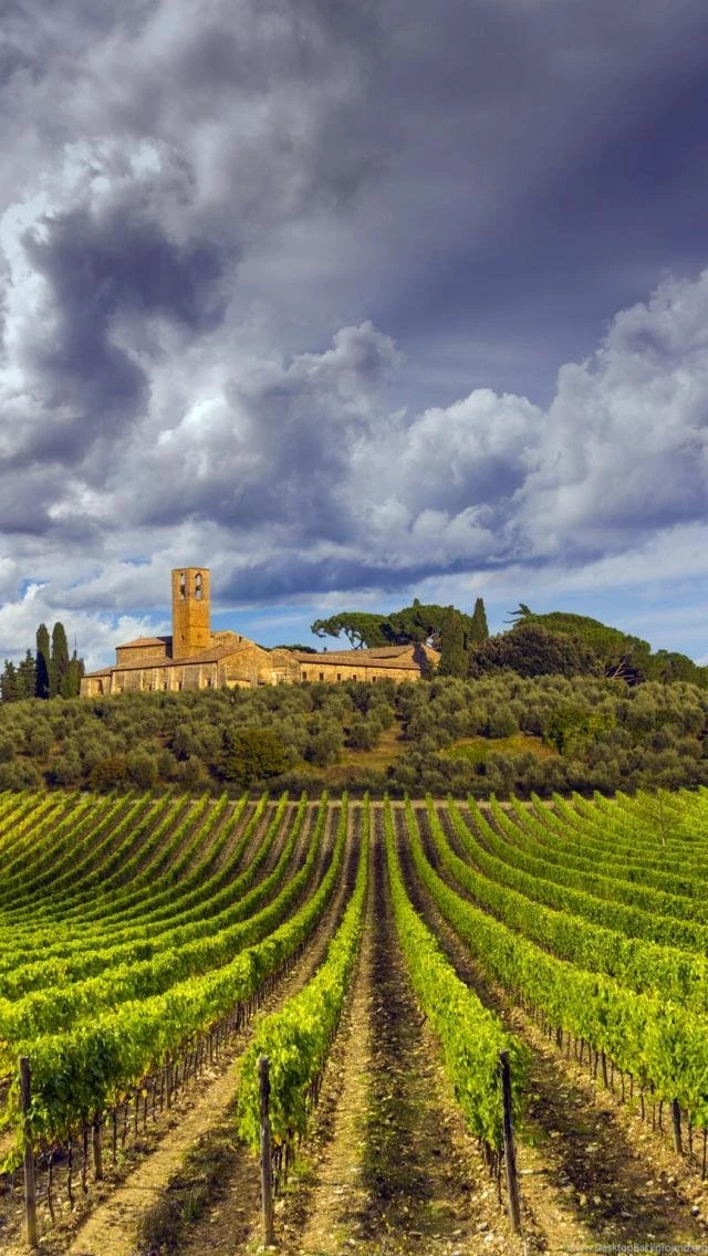 Tuscany Vineyard Wallpapers Wallpaper.