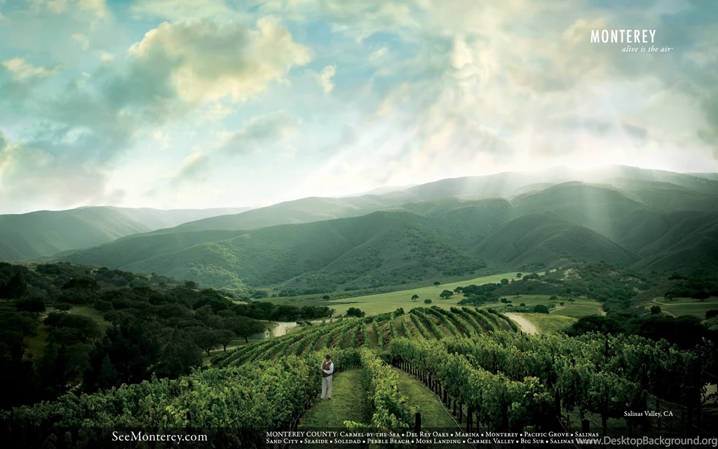Wallpapers, Vineyard, Images, County, Desktop (
