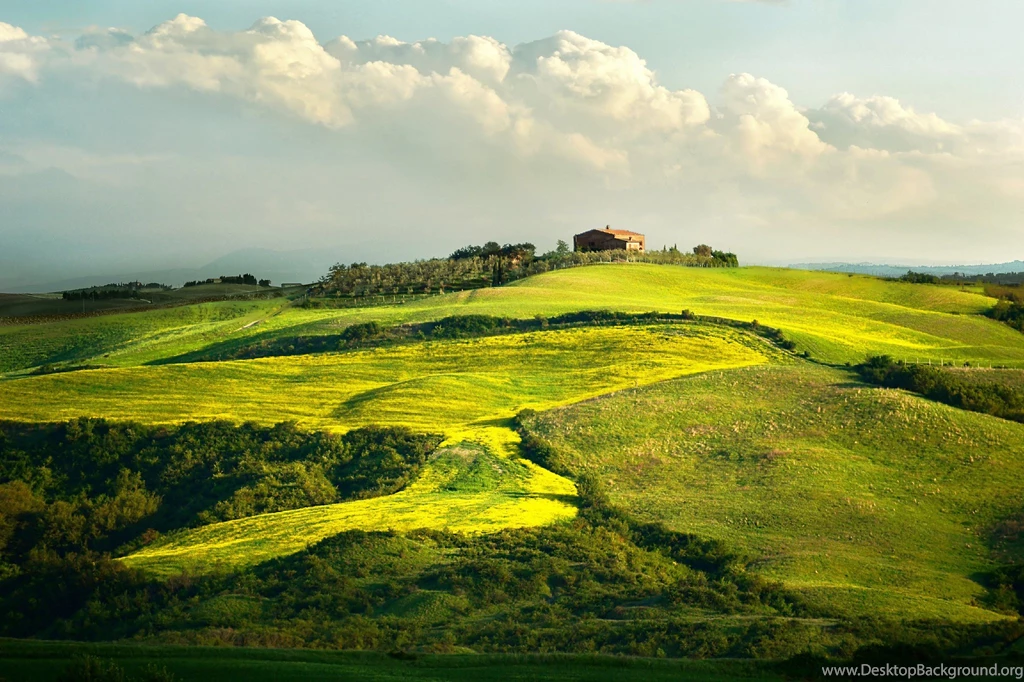 Italy Tuscany Vineyard House Wallpapers