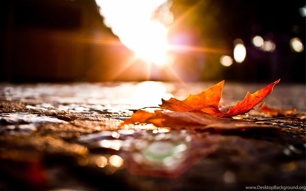Page 71 Best Collection Wallpapers Hd