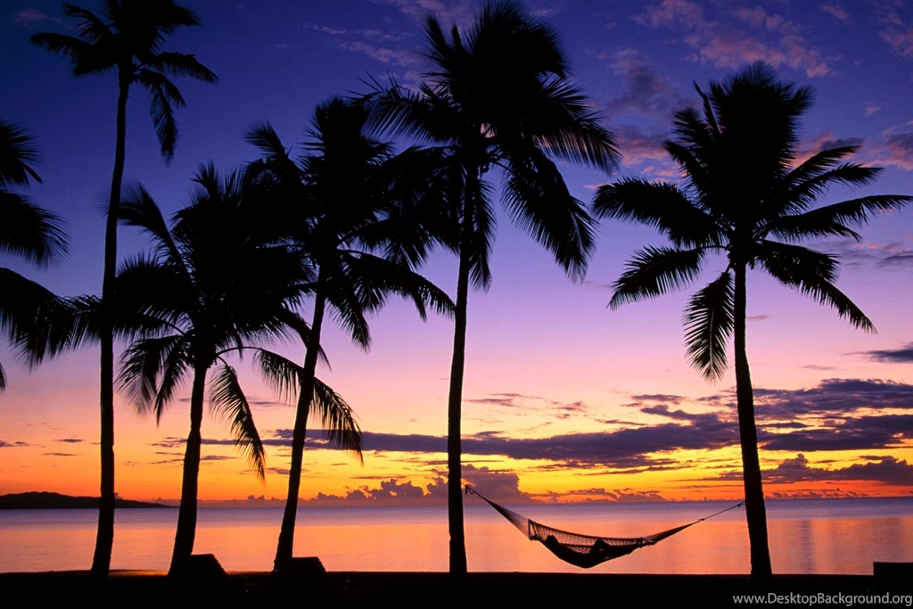 70 Beautiful Sunset Backgrounds And Posters For Free ~ Design ...