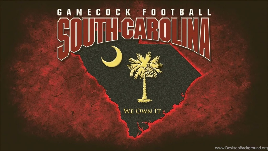 Top Gamecocks Wallpapers Hd Wallpapers