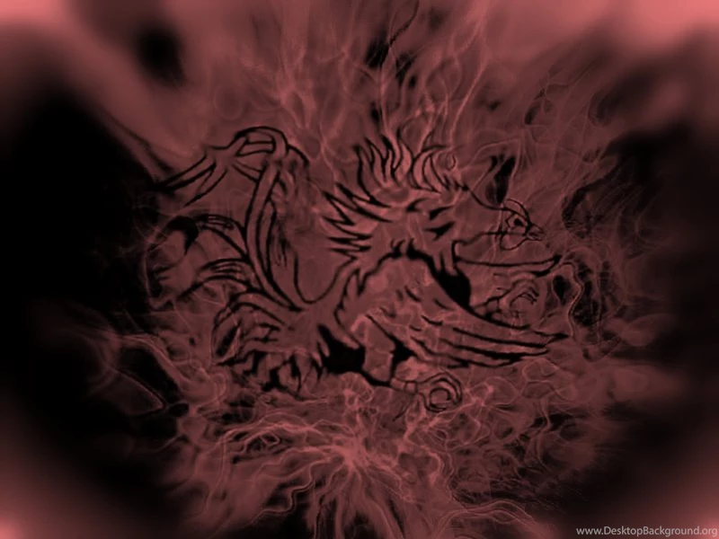 USC Wallpapers   Page 17   CockyTalk