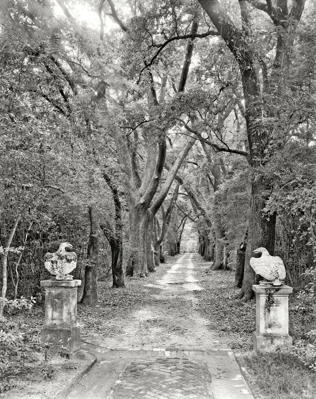 Shorpy Historic Picture Archive :: Gorey Manor: 1939 High ...