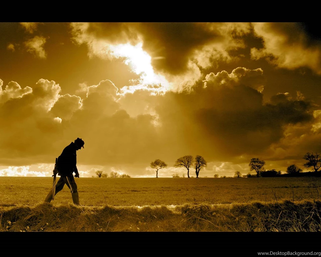 Top Wallpapers Collection (38+)