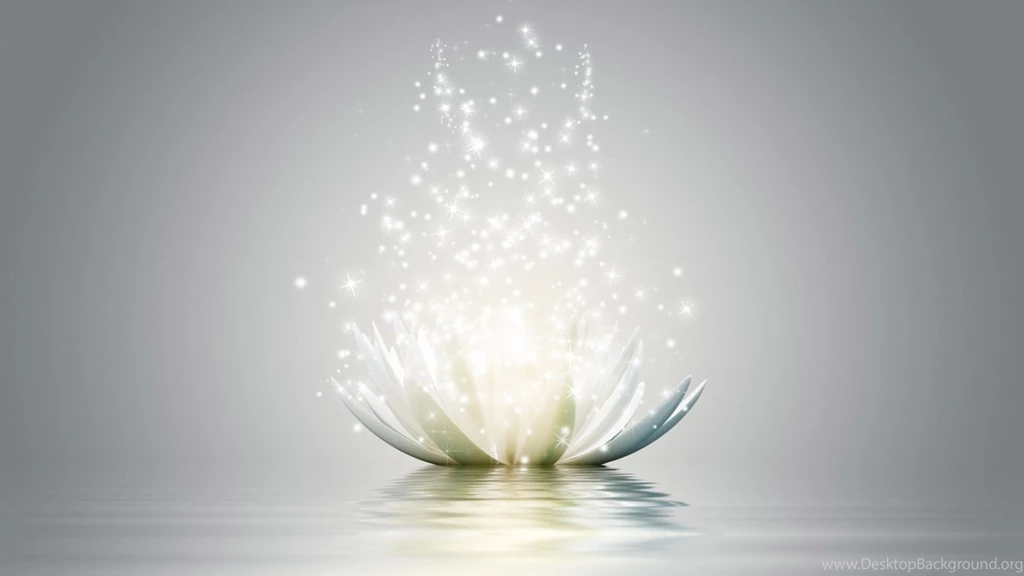 Lotus Flower Wallpapers   1366