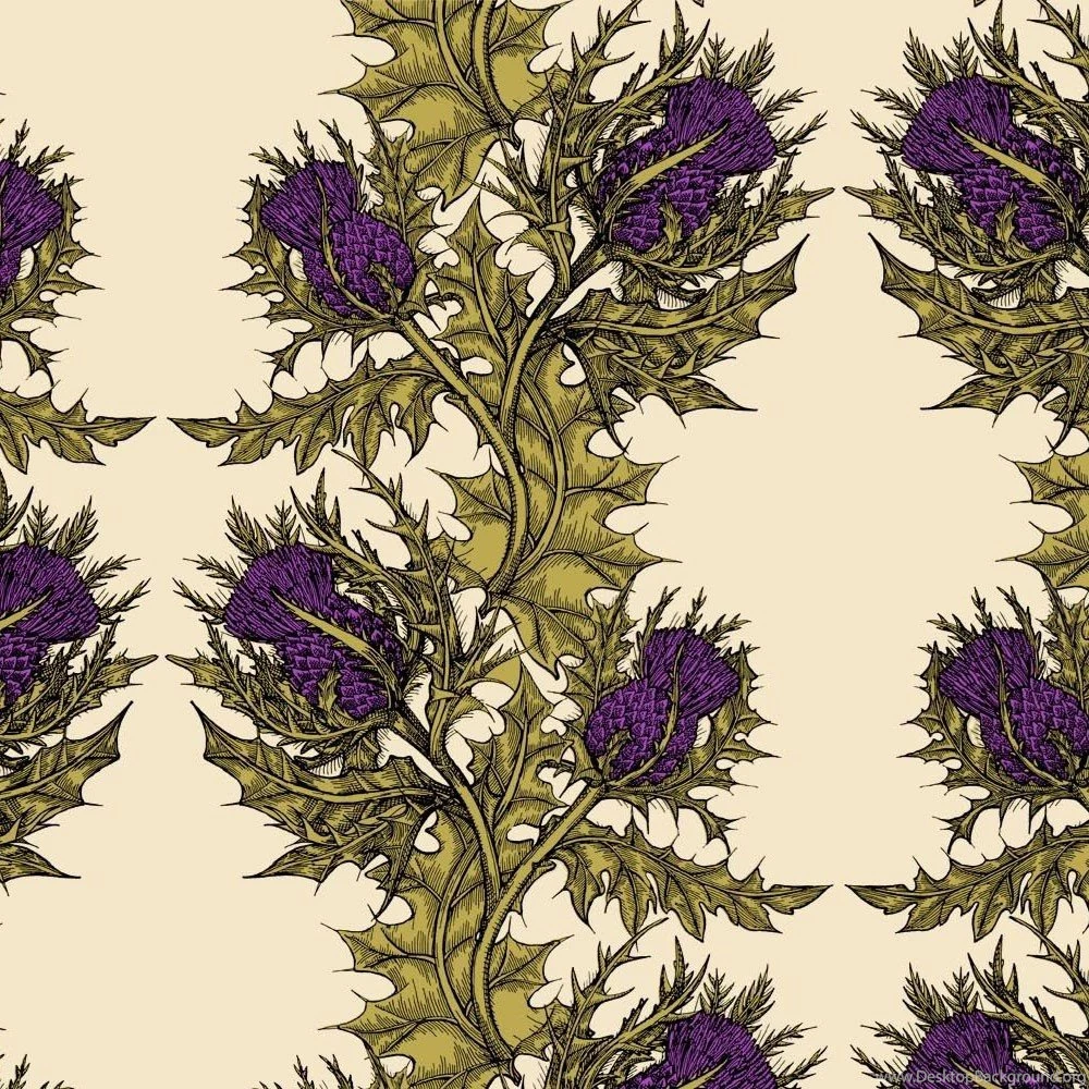 Timorous Beasties Grand Thistle Hand Print Wallpapers