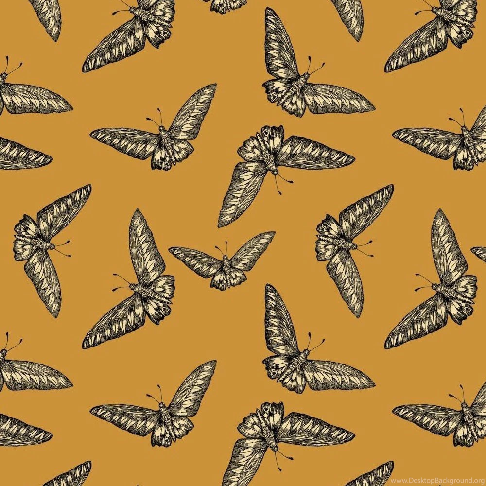 Timorous Beasties Devine Moth Wallpapers