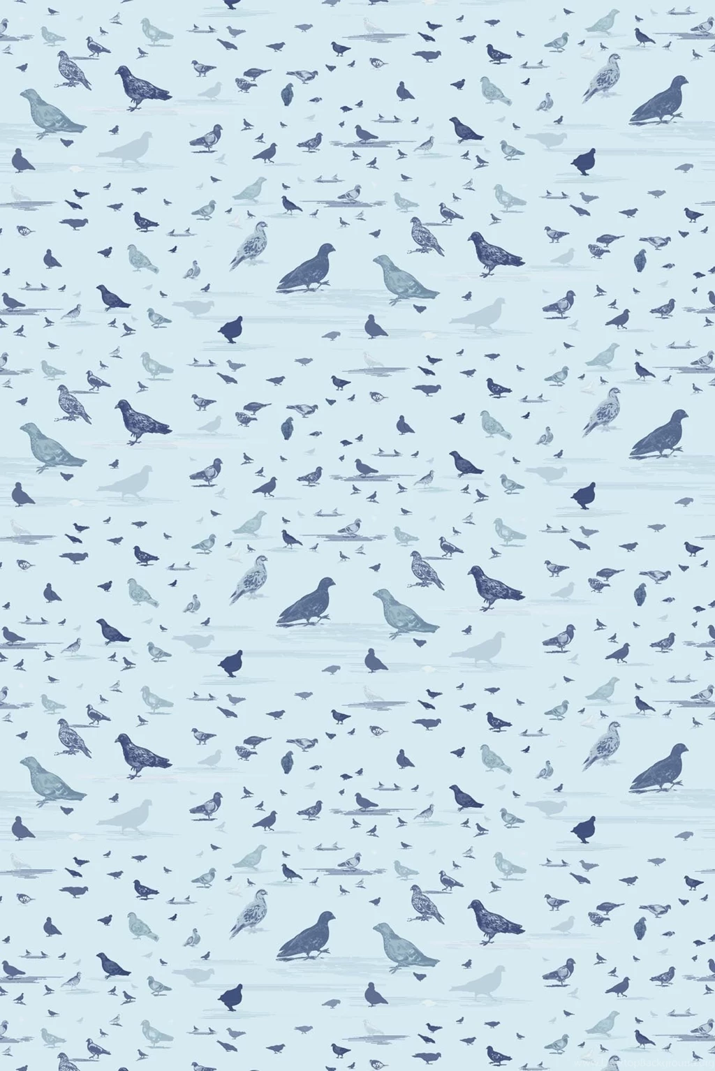 Timorous Beasties Wallcoverings Pigeon Toile