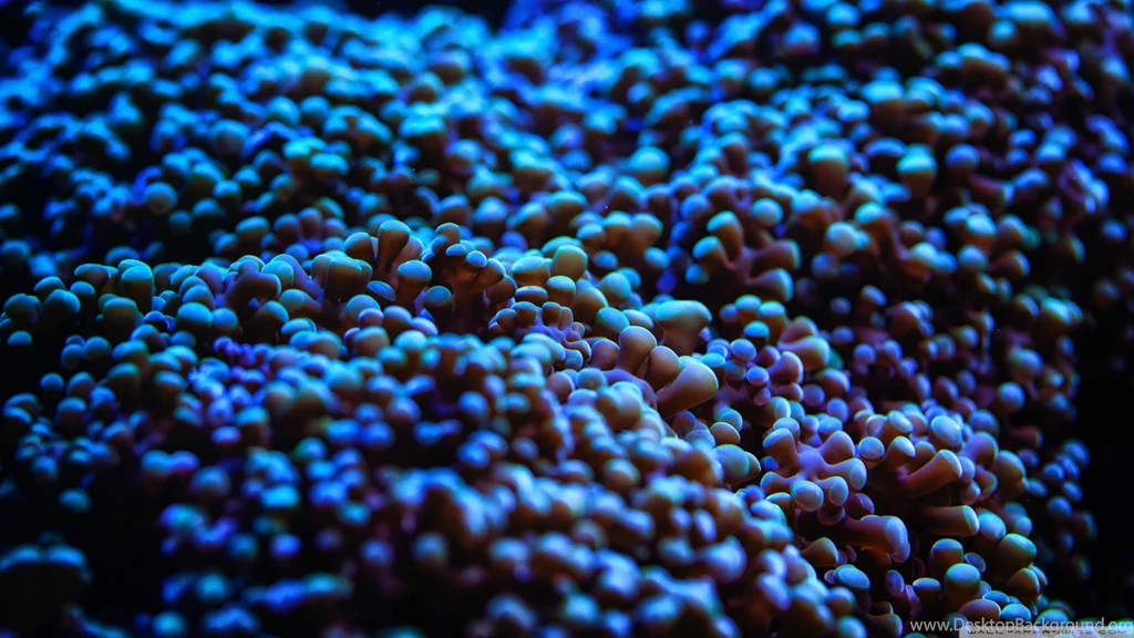 Neogaf Desktop/Homescreen/Whatever Thread (Q2 2012 Edition)   Page ...