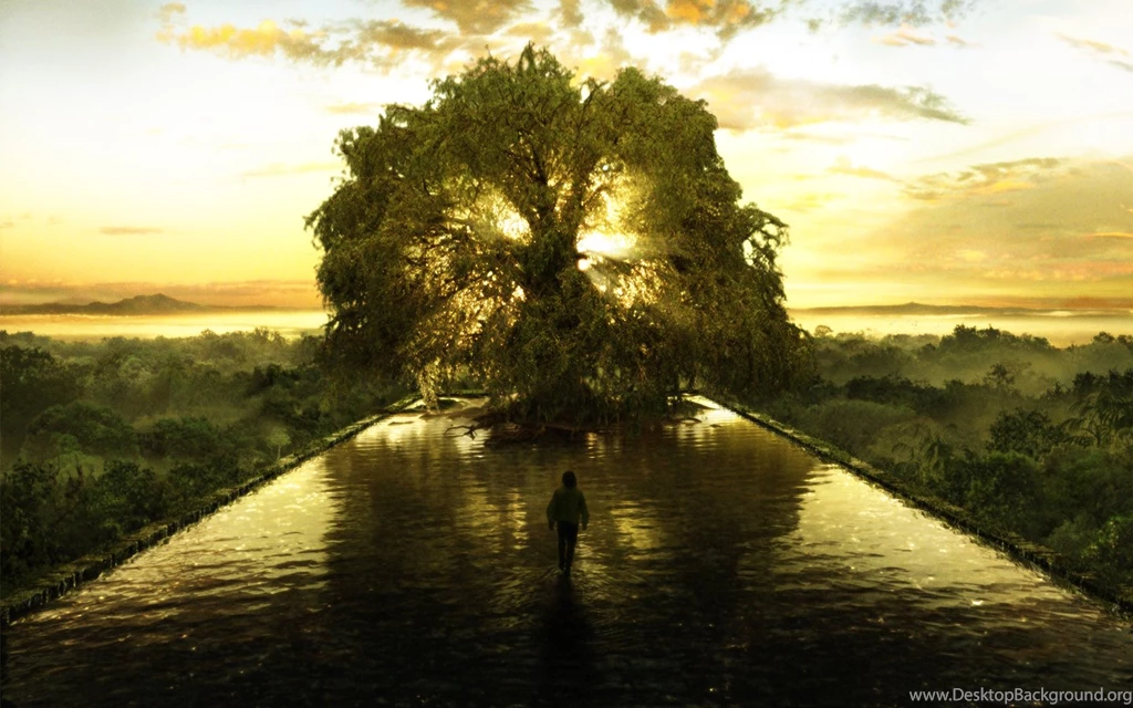 6 The Fountain HD Wallpapers