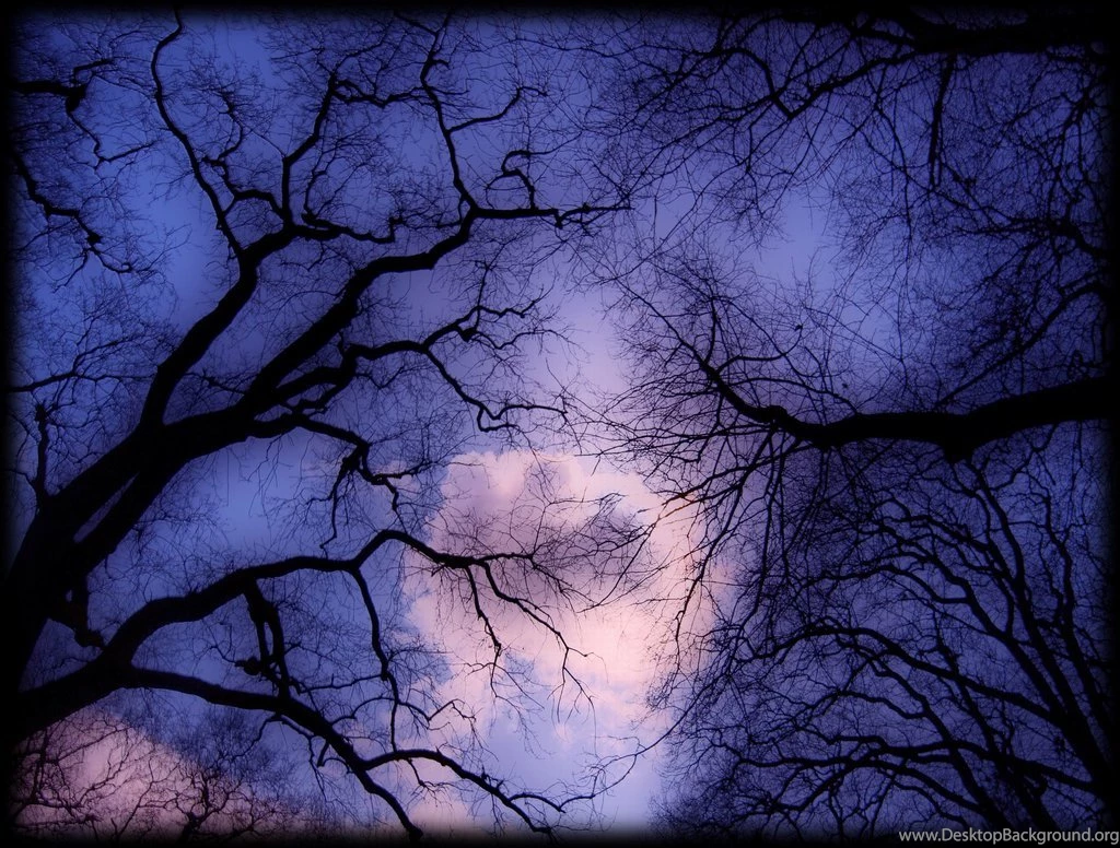 Norse Pagan Wallpapers Related Keywords & Suggestions   Norse Pagan ...