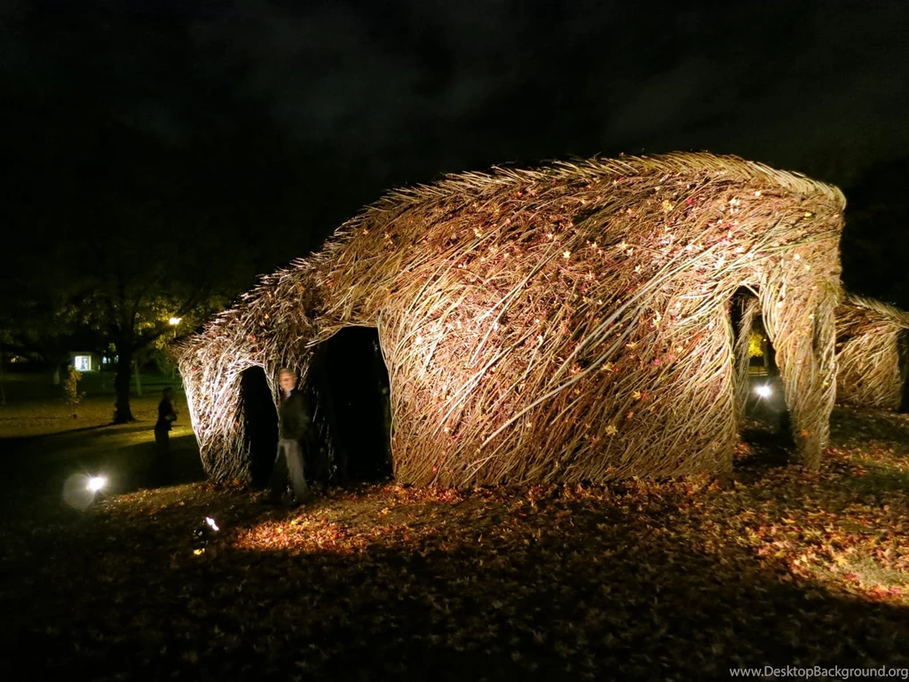 Central CA Photos: Learning Curve On Fresno State Campus