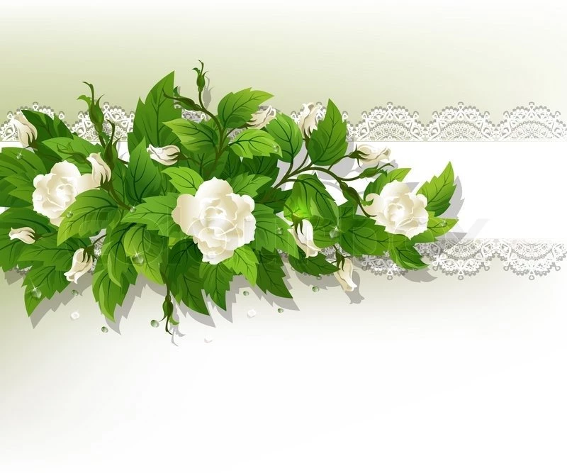 Beautiful Backgrounds With Fresh White Roses