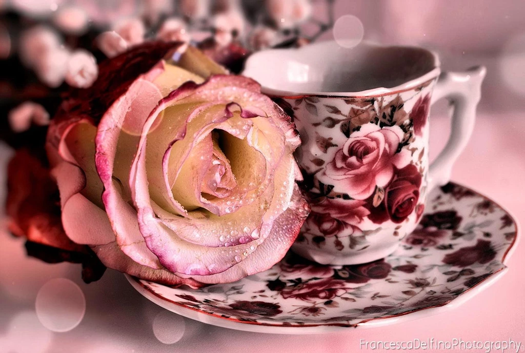 Tea Time (