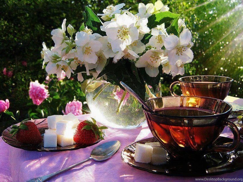 Bright Blog: Tea Time By Nichrysalis On DeviantArt