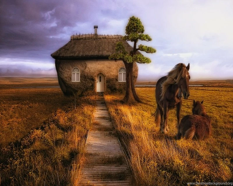 Digital,horses Digital Horses Creative House 3d Abstract 1280x1024 ...