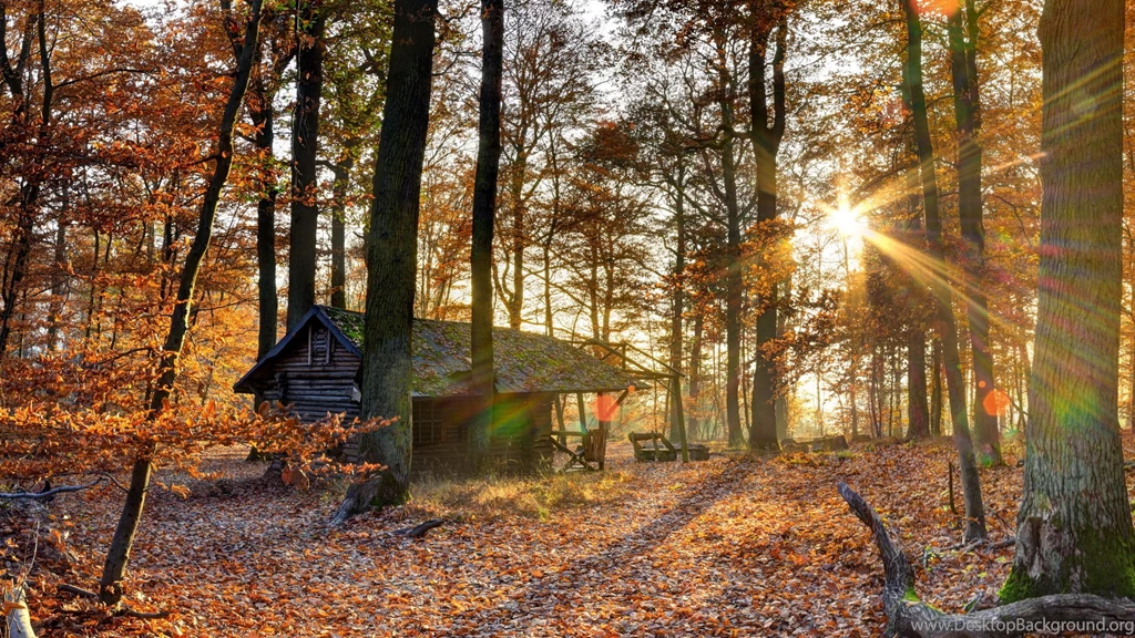 HD Beautiful Cabin Wallpapers And Photos