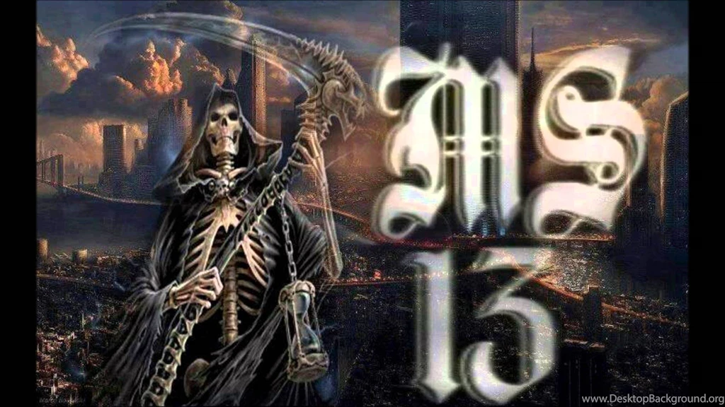 MS 13 FLS Controla YouTube